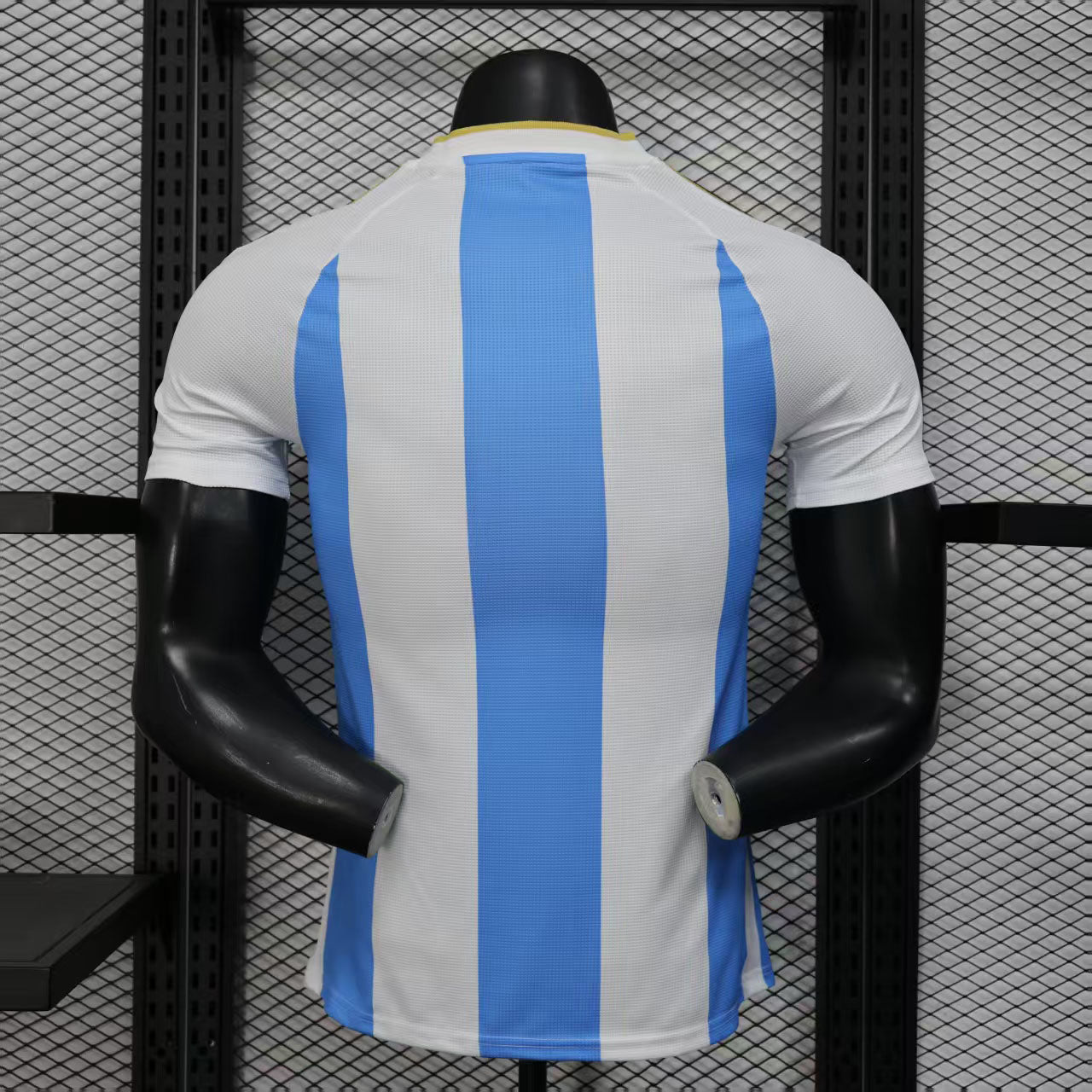 2025 Argentina Home
