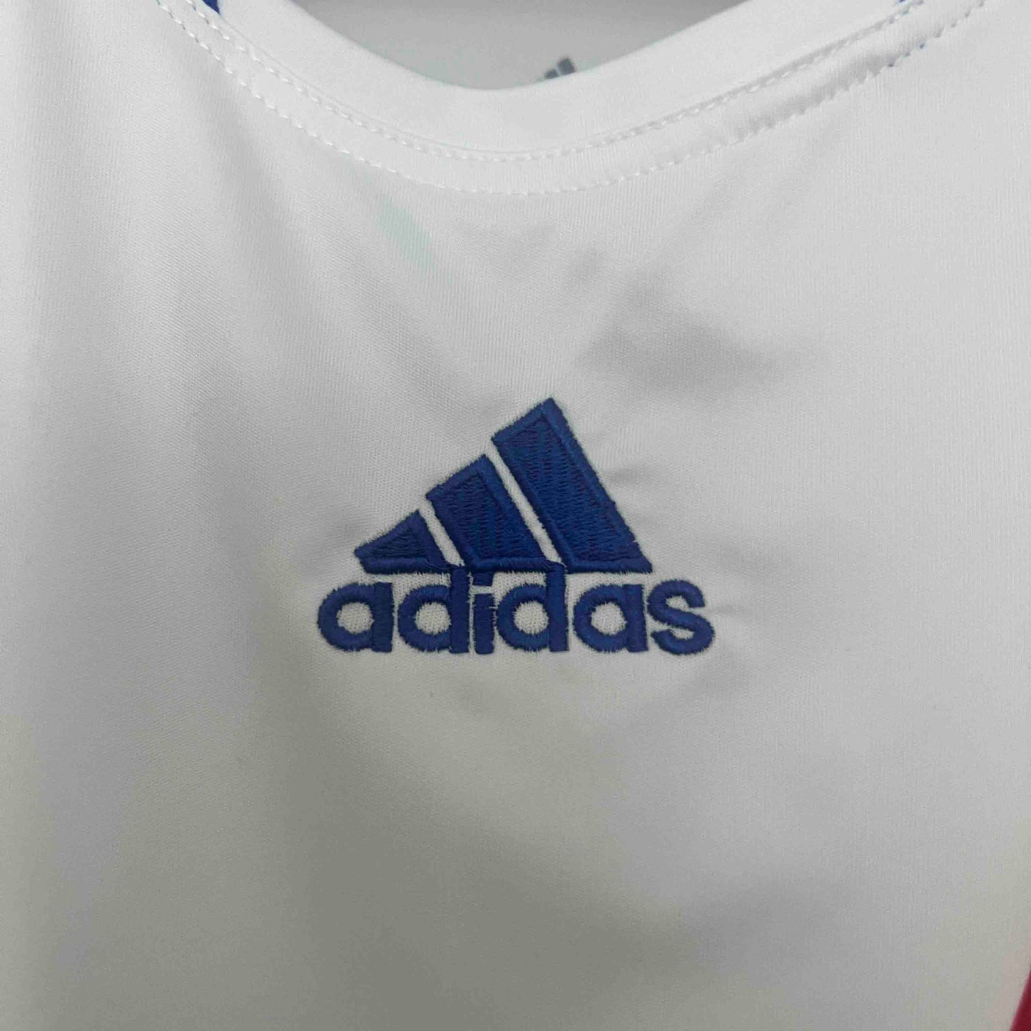 Retro 2010/11 Lyon Home