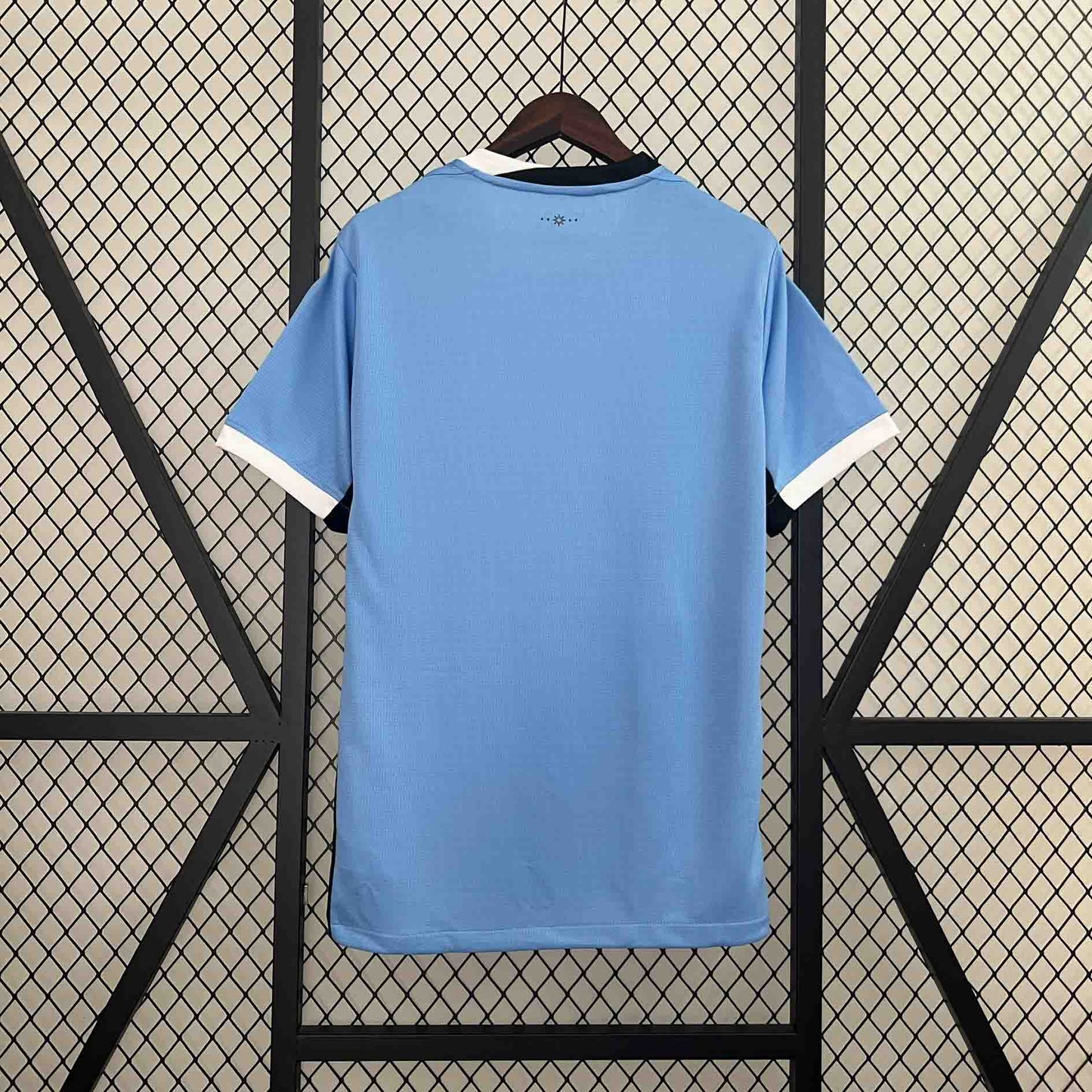 2024 Uruguay Home
