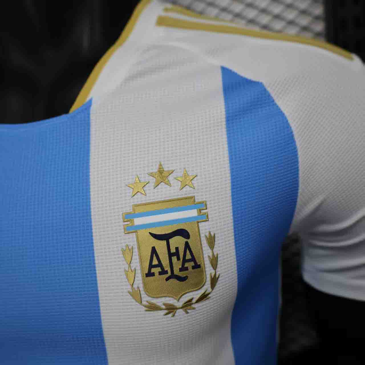 2025 Argentina Home