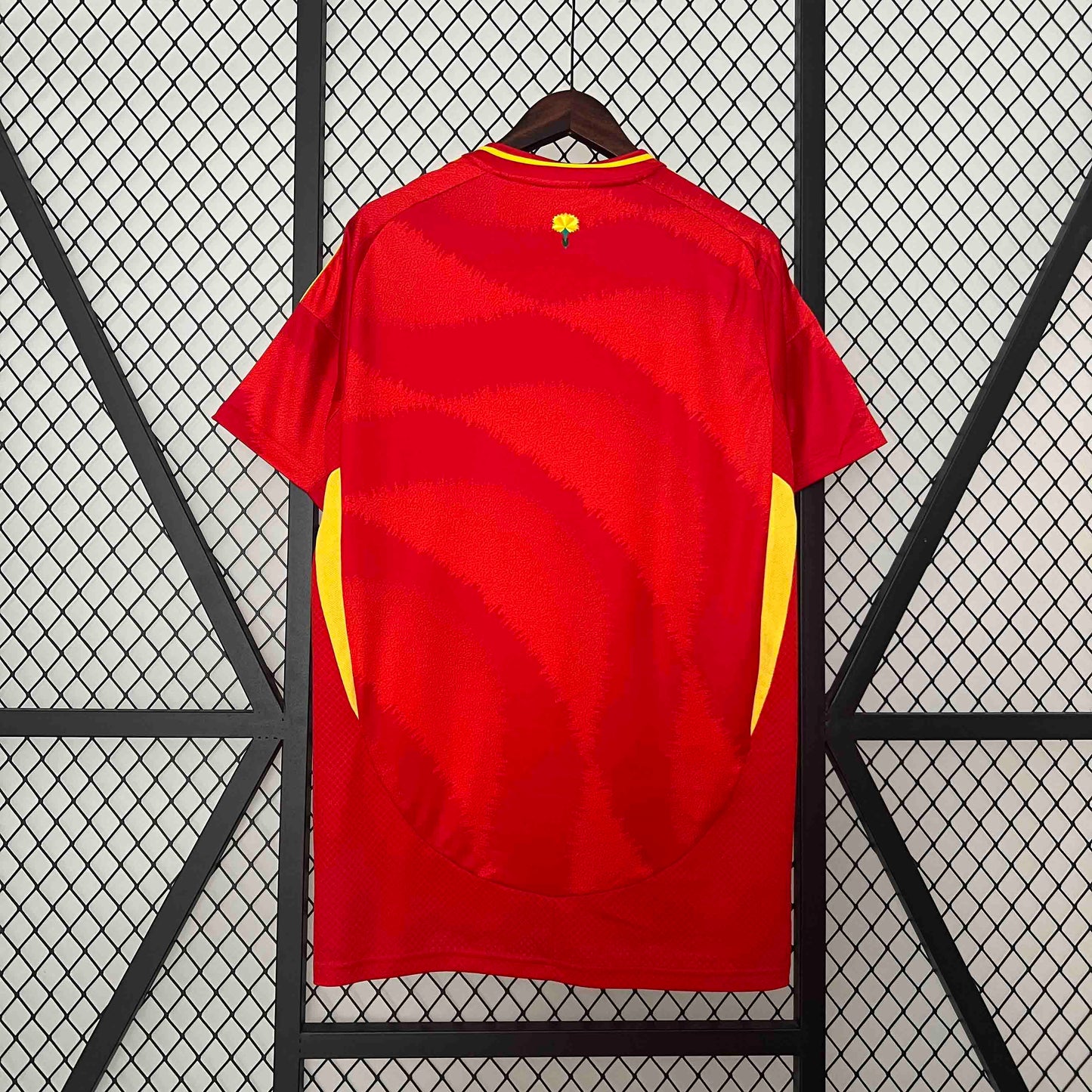 2024 Spain Home