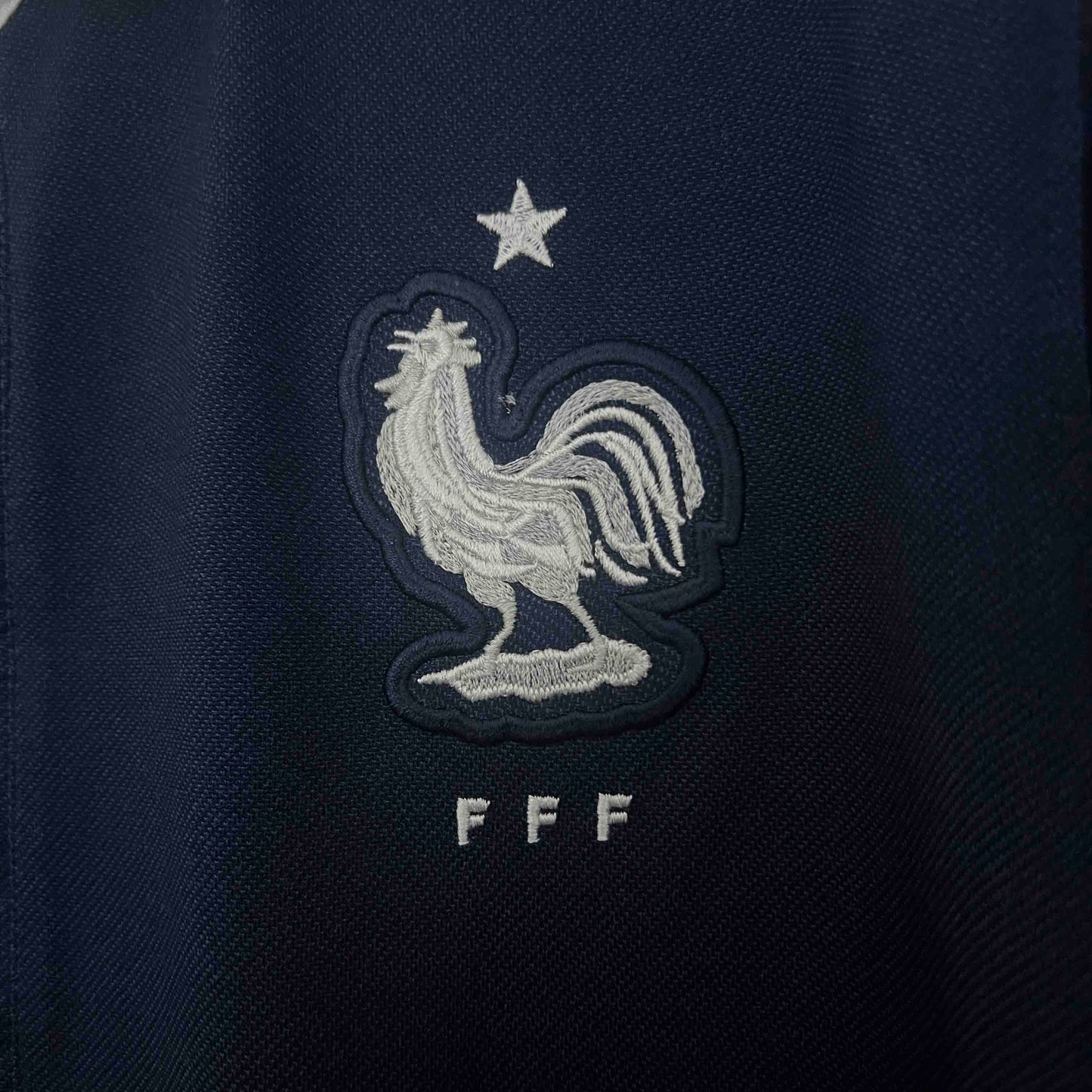 Retro 2014 France Home