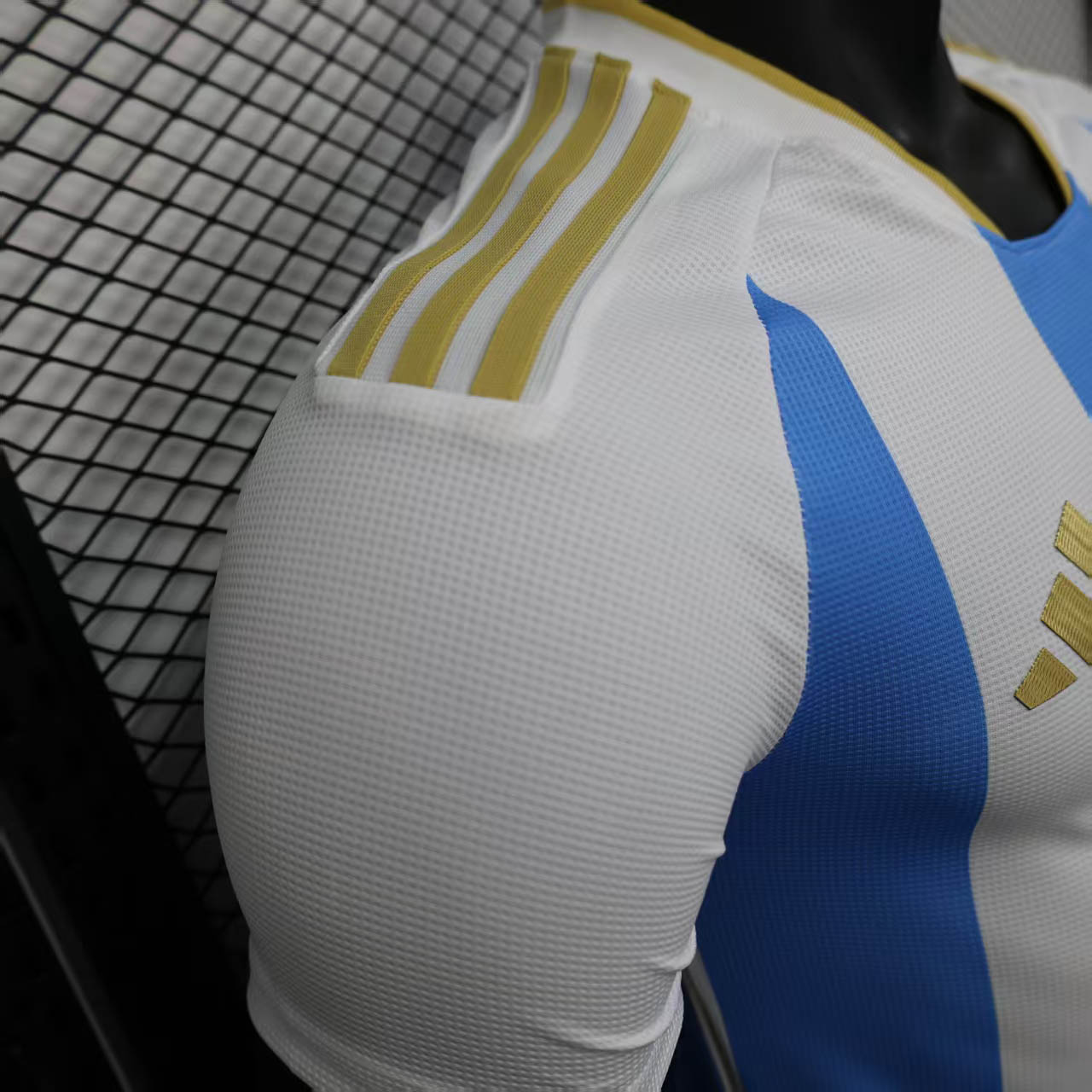 2025 Argentina Home