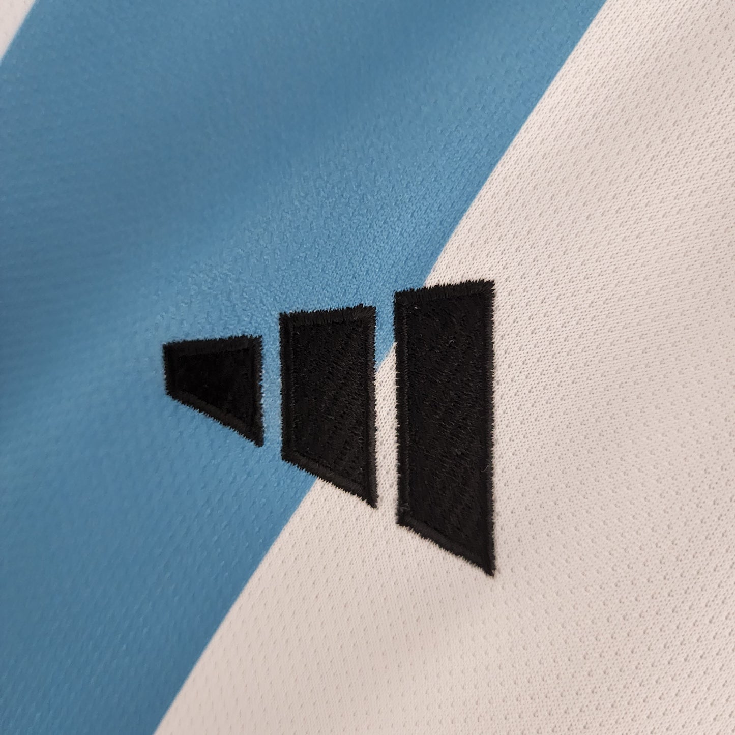 2022 Argentina home