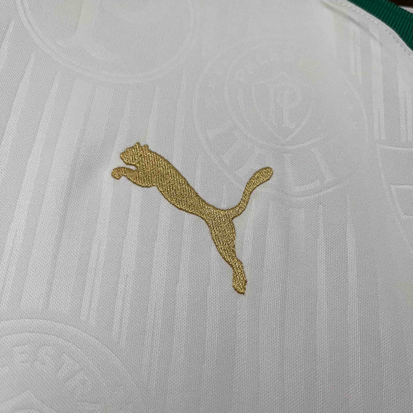24/25 Palmeiras Away