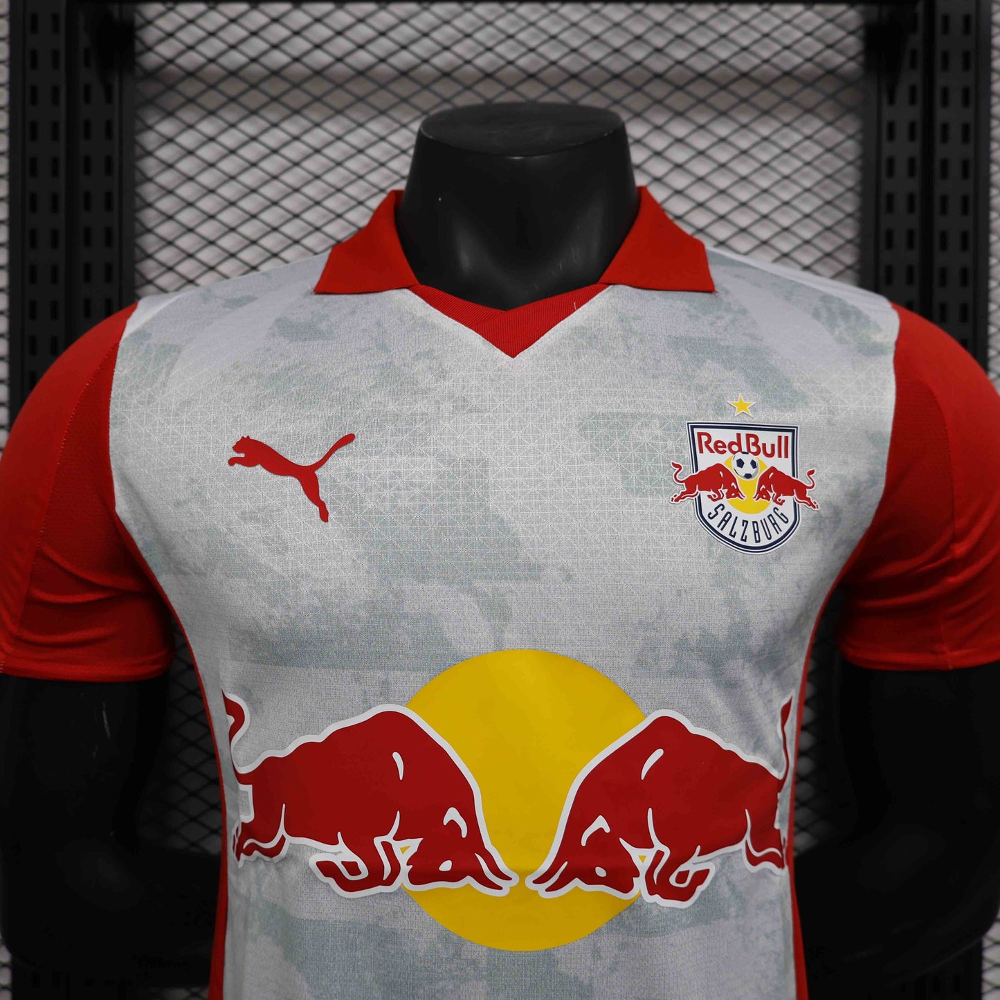 Salzburg Home
