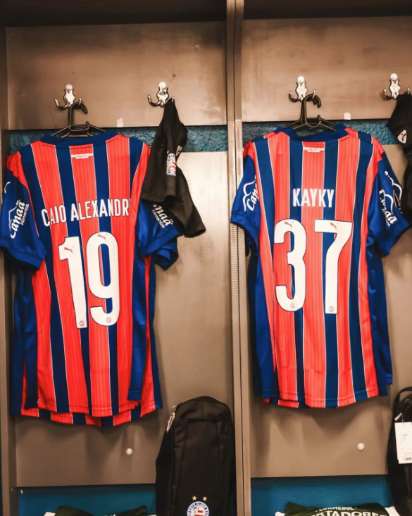 Bahia Home