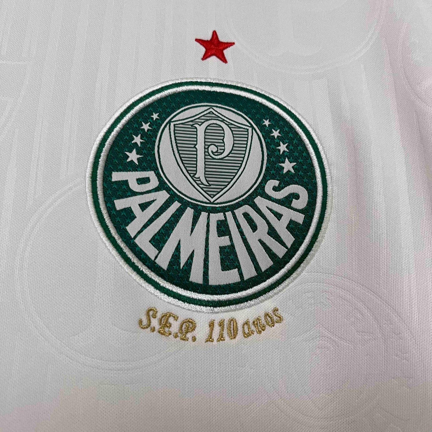 24/25 Palmeiras Away