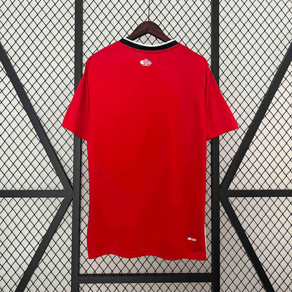 24/25 Lille Home