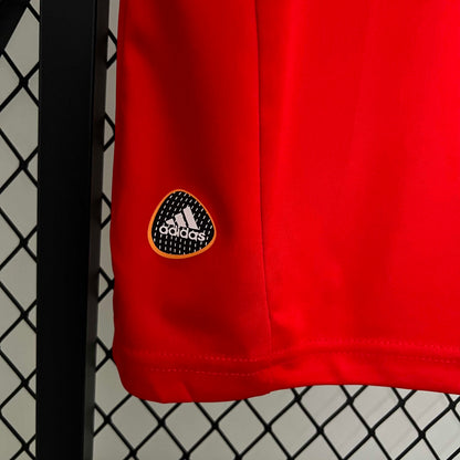 Retro 2010 Spain Home
